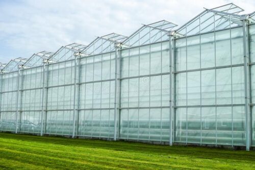 new-empty-big-greenhouse-view-outside-blue-sky-glass-115603101