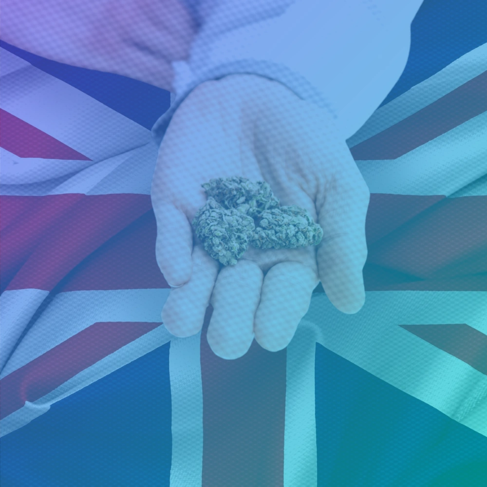 A doctor's hand holding out a cannabis flower with a backdrop of the UK flag.