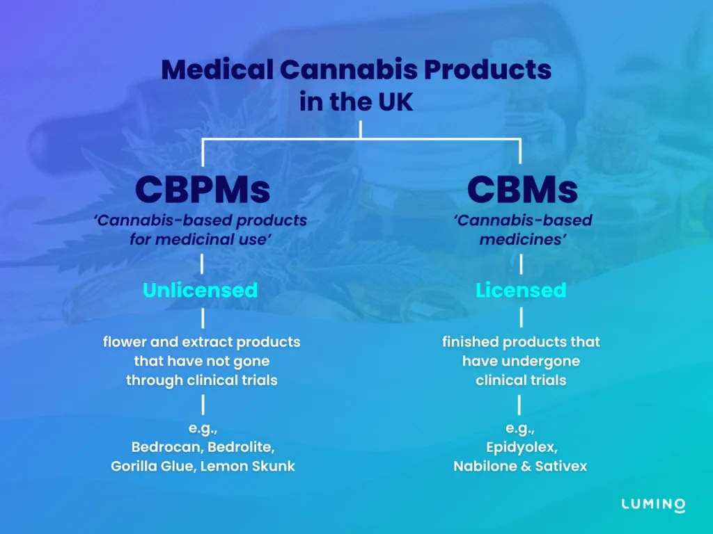 Ein Diagramm, das zeigt, wie medizinisches Cannabis im Vereinigten Königreich in 2 Hauptkategorien unterteilt wird: CBPM & CBM