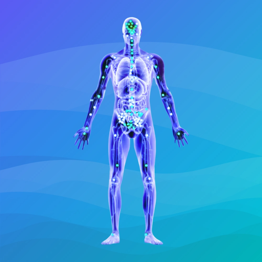 semi-transparent human body showing internally the endocannabinoid system, with a background of purple and green gradient of Lumino recruitment agency