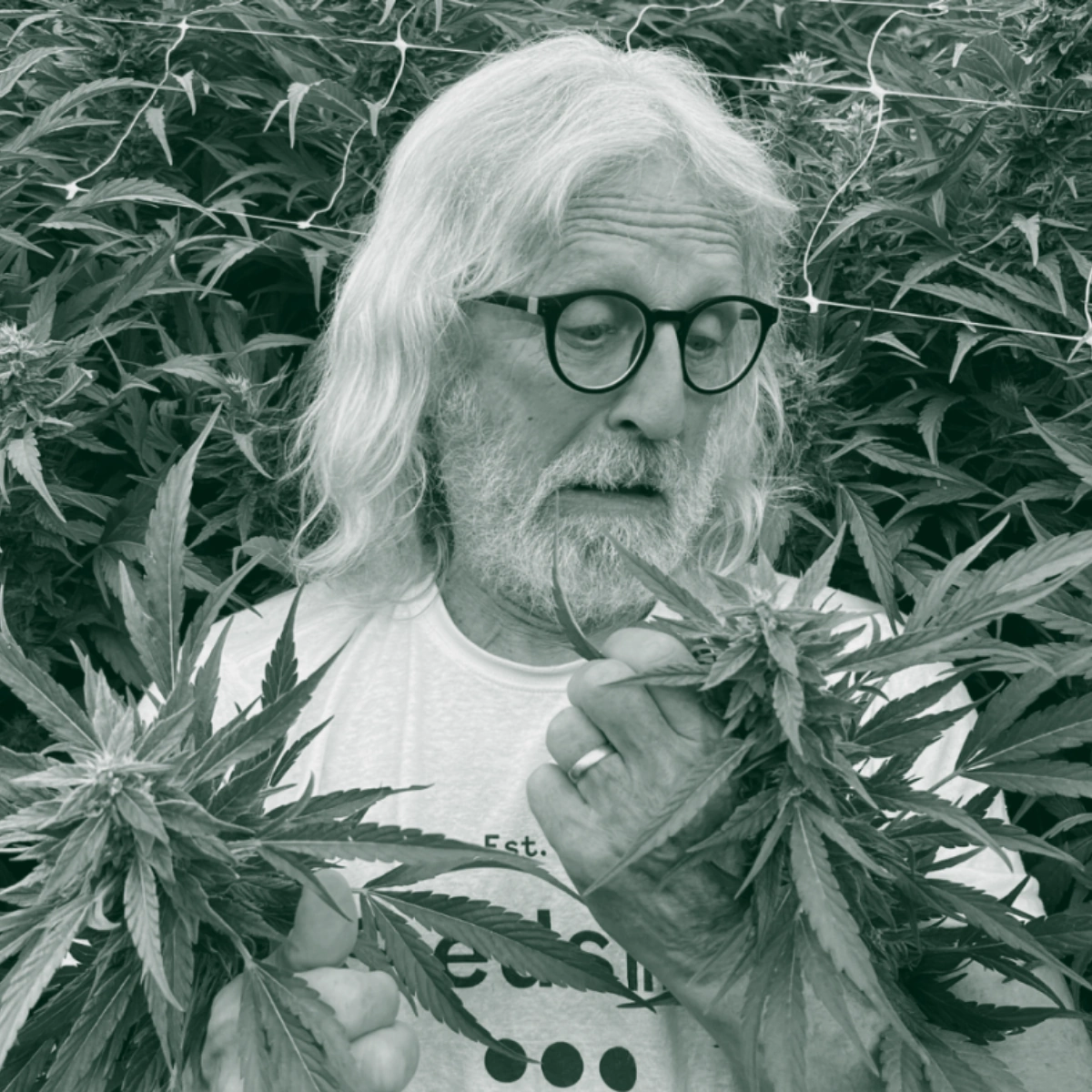 Jorge Cervantes Jorge Cervantes - ein Gast des Cannabis Conversation Podcast