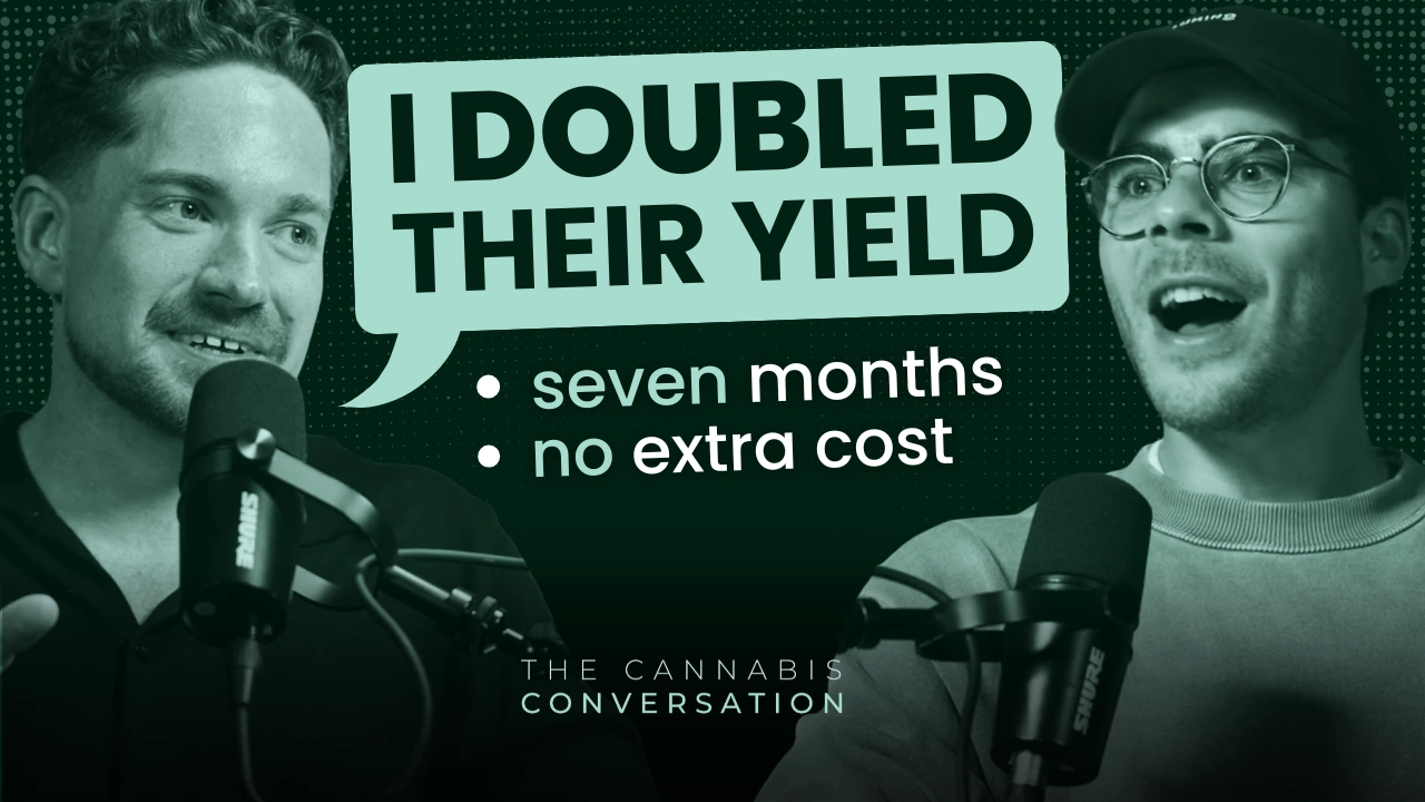 Das Cannabis-Gespräch mit Dr. Nigel Gale Youtube-Video-Miniaturansicht