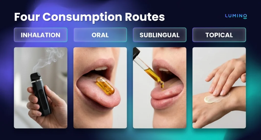 the four consumption routes for cannabis which are inhalation, oral, sublingual and topical