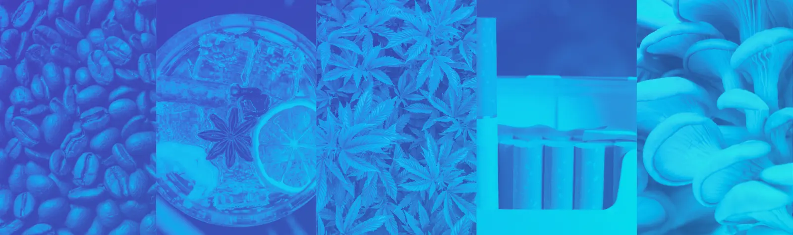 What Cannabis Can Learn from Coffee, Gin, Cigarettes, and Mushrooms