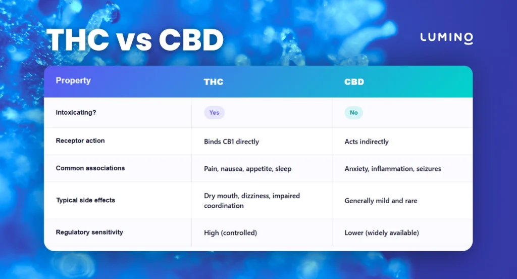 A detailed table showing the key differences between THC and CBD