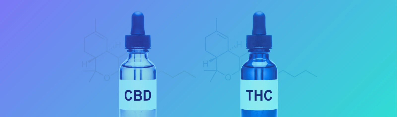 THC, CBD and Terpenes: The Chemistry Behind Cannabis (and Why It Matters)