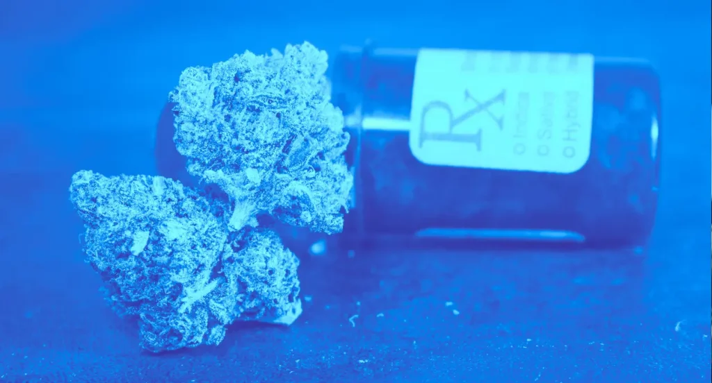 an open container of medical cannabis with medical cannabis flowers in front of it