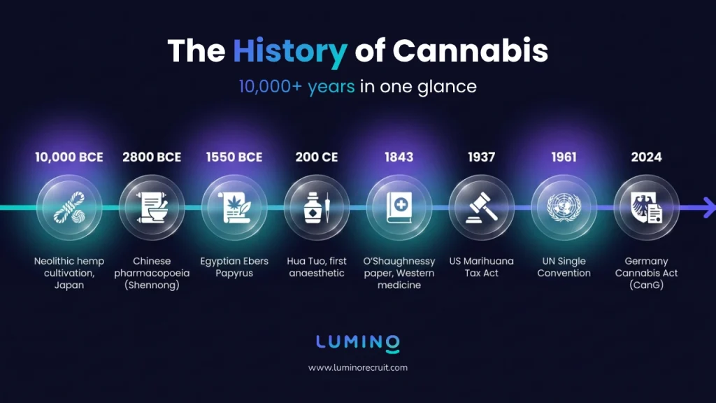 a timeline showing the history of cannabis from 10,000+ years ago to today with all the major milestones from widespread use to prohibition to the eventual opening up of markets again