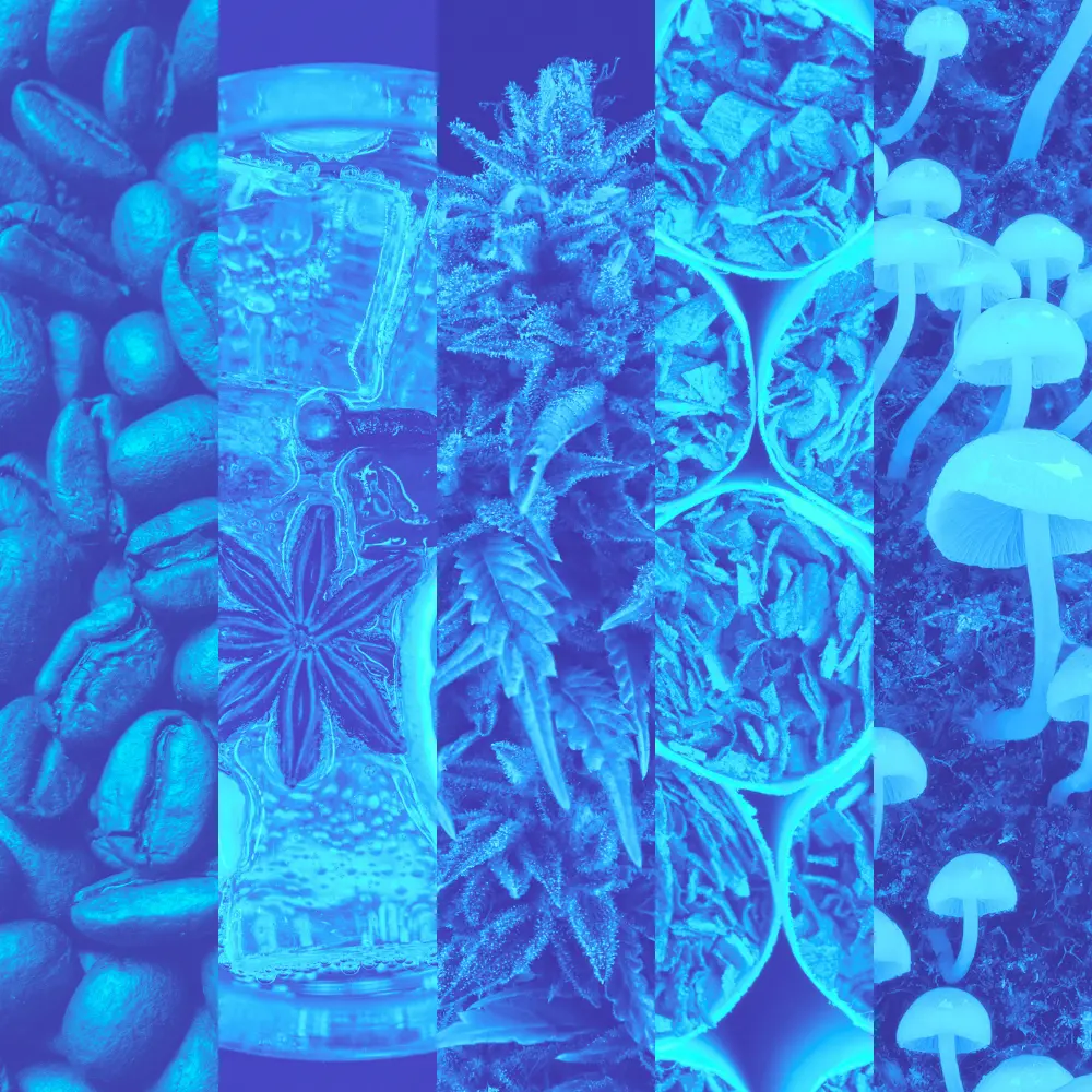 5 split image showing cannabis compared to coffee, alcohol, tobacco and psychedelics