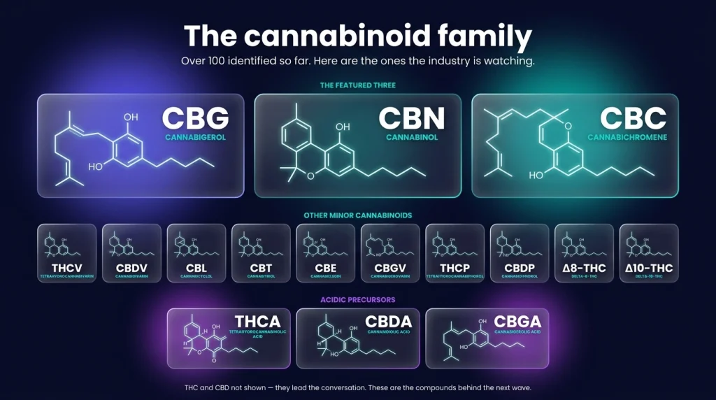 An infographic displaying all the minor cannabinoids such as CBG, CBN , CBC and more