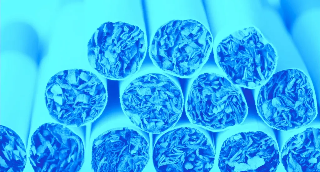 close up photo of cigarettes showing the tobacco inside